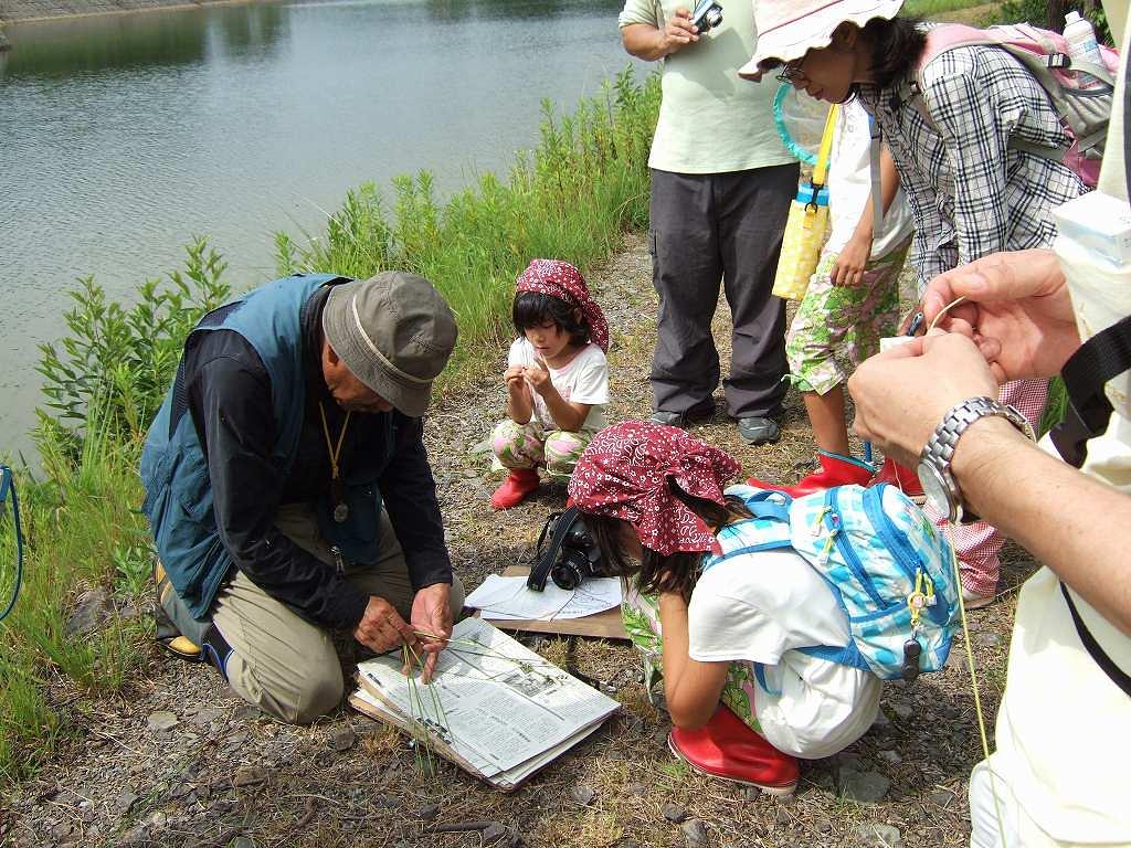 蒲生野考現倶楽部 の活動