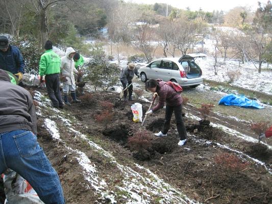 彦根雨壺山・護林会の活動