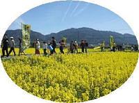 全国菜の花学会・楽会　開催