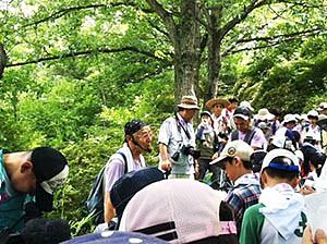 かぶと山での観察