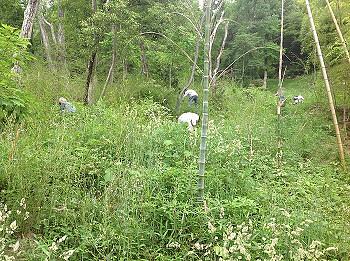 訪問　八幡山の景観を良くする会