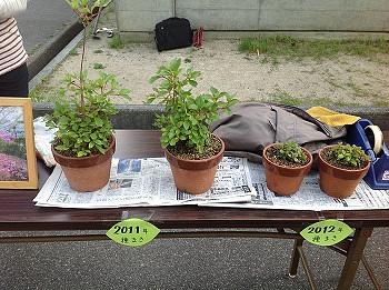 訪問　子ども活動サポーター会