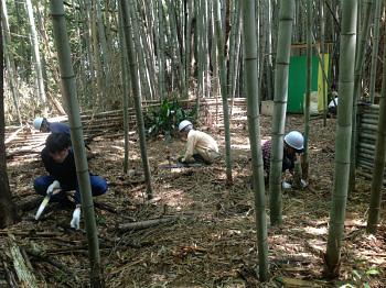 訪問　碧いびわ湖の「たまてばやし」