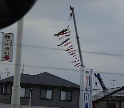 長ーい連休です