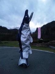 【告知】本日（３/１５金曜日）夜、県内避難者の会メンバー出演最終回！