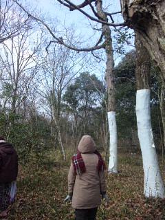 森は楽しい＼(≧∇≦)／