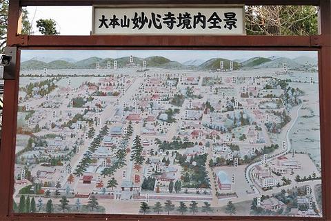 令和元年12月24日ウォーキング妙心寺・堂本印象美術館・仁和寺下見報告