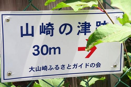 令和元年5月28日ウォーキング下見報告