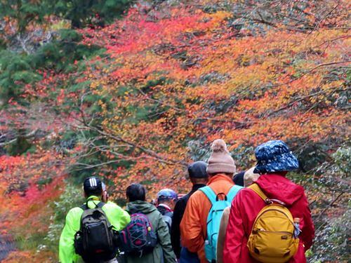 紅葉の中を歩く