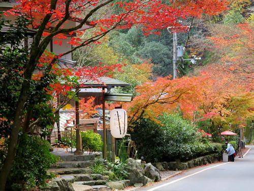 貴船街道の風景