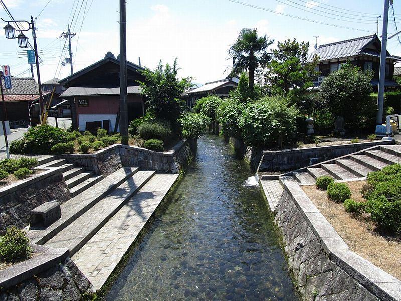 ⑩針江川の清流
