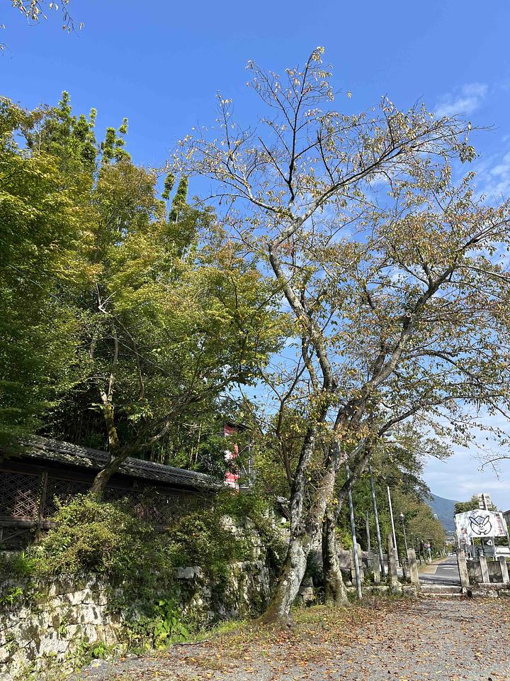 日本の農業はどうなるか　2018/10/01