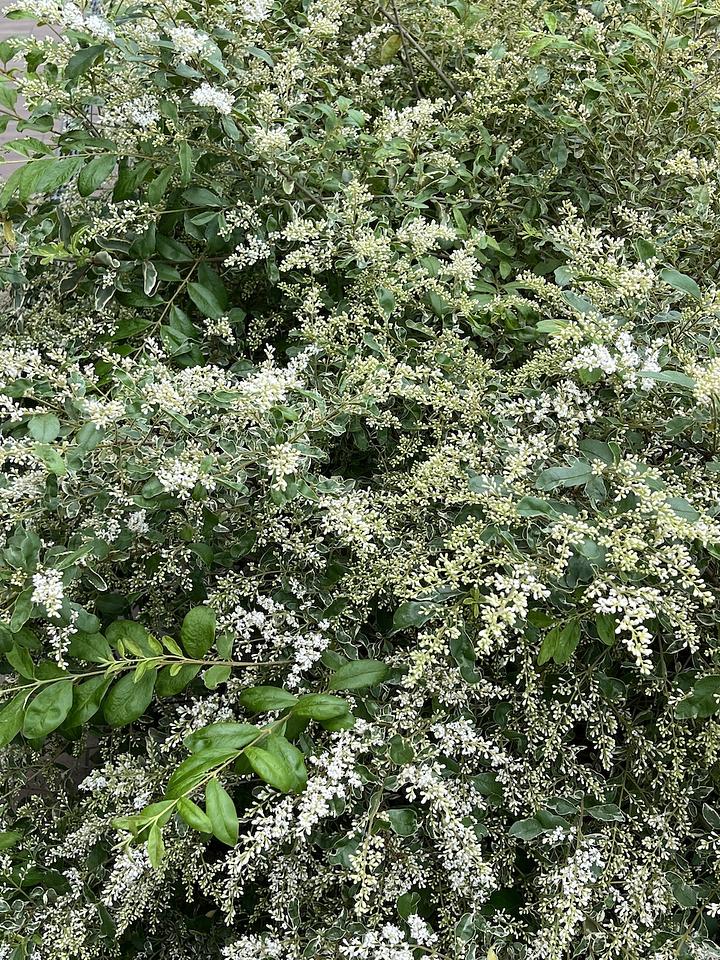 弁護士への大量懲戒請求から考える　2018/06/01