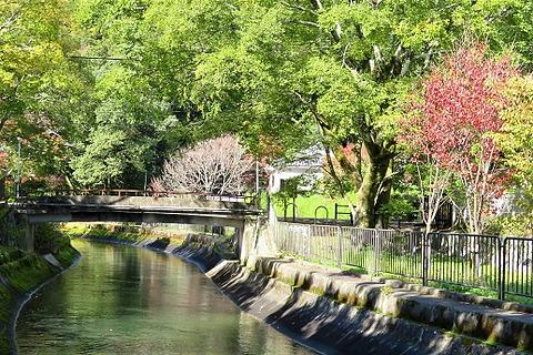 ウォーキングサークル11月度活動案内・紅葉を愛で山科から疏水を歩く