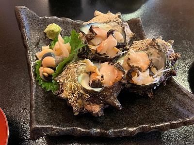 日本海でサザエ