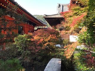 毘沙門堂紅葉まだまだ