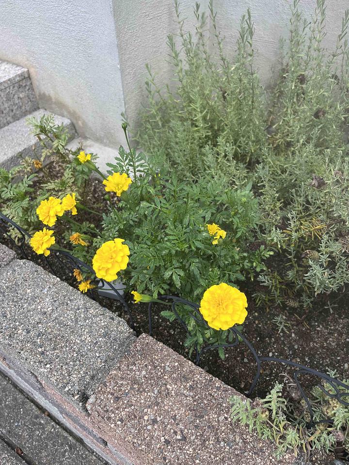 ＮＰＯ法人の信頼度　2013/08/06