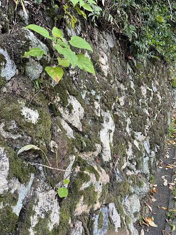 【緊急コラム】あきらめない　忘れない　考える　行動する　2013/12/08