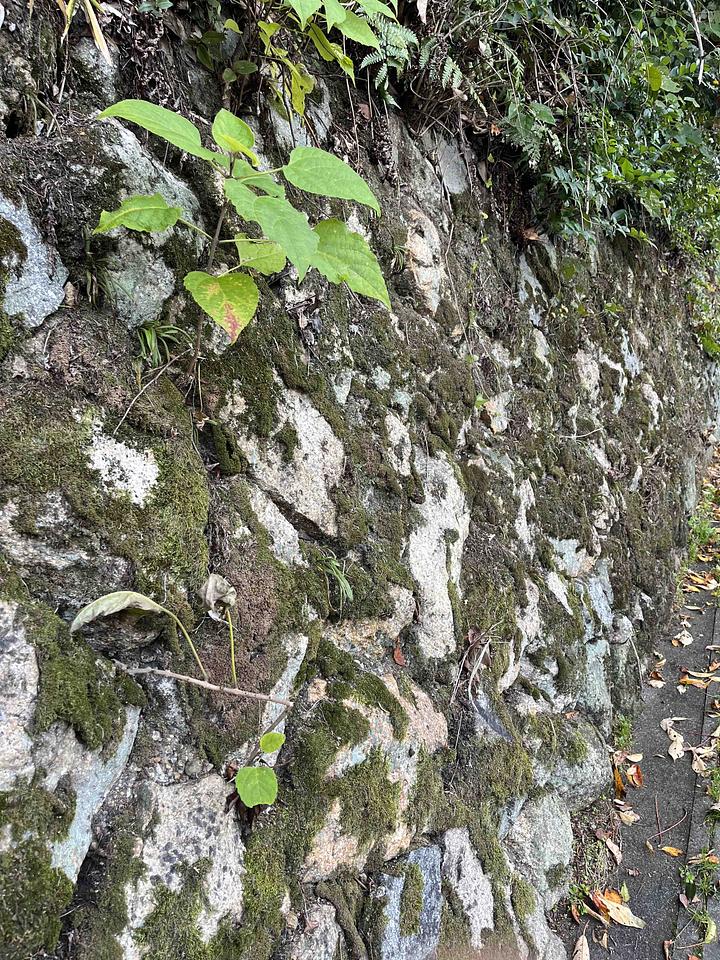 【緊急コラム】あきらめない　忘れない　考える　行動する　2013/12/08