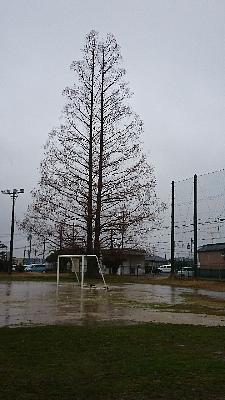 Nこども園  おひさま広場