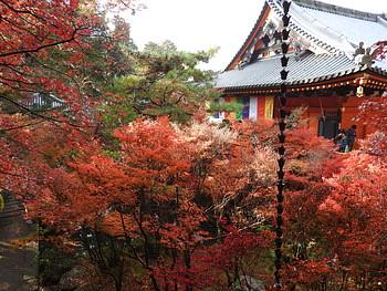 毘沙門堂　2017.11.23