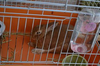 寝るのがお仕事