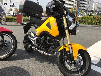 GROMのトグロマフラーが素敵！