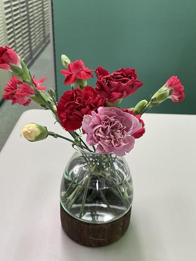 カーネーション