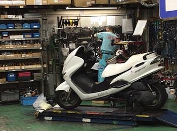 コマジェドック入り