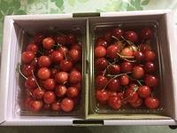 サクランボの地位