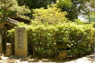宇治上神社