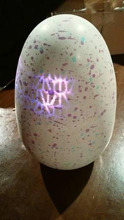 ウーモが生まれました