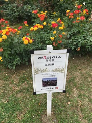 バラ園に行きました