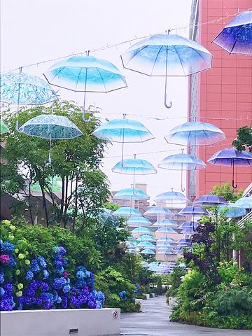 草津の写真スポット