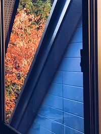 紅葉狩りまでもう少しですね