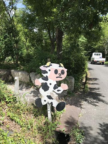 涼を求めてドライブ