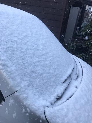 雪