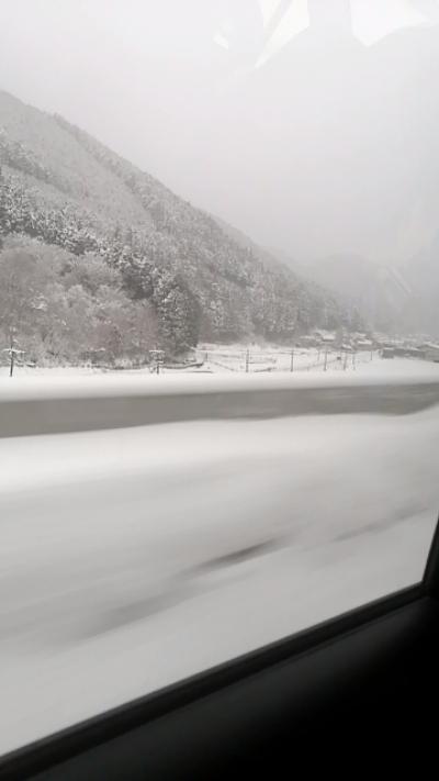 久々の帰省ｶﾀ:(ˊ◦ω◦ˋ):ｶﾀ