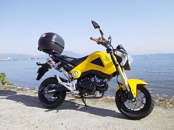 エキパイ磨こうかな？