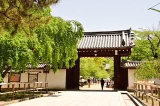 醍醐寺と勧修寺に行ってきました