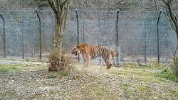 姫路セントラルパーク