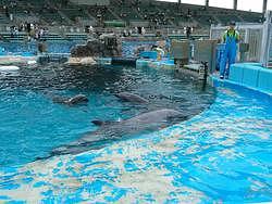 名古屋港水族館・東山動物園