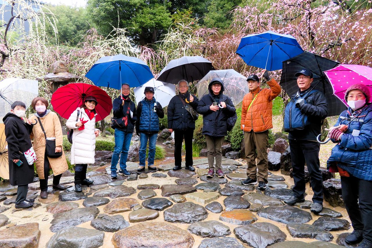 2024年3月5日平安京・城南宮で梅&椿を愛でる会