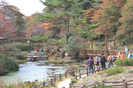 紅葉の六甲高山植物園