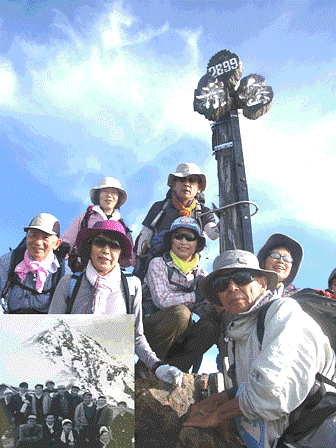 八ヶ岳白色のコマクサ