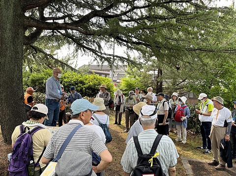 2023年6月29日　フォトウォーククラブ6月例会　石部宿