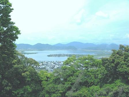 西の湖・大中干拓地を歩む