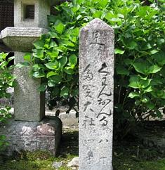 雪の下の桑實寺・なんじゃもんじゃの沙沙貴神社