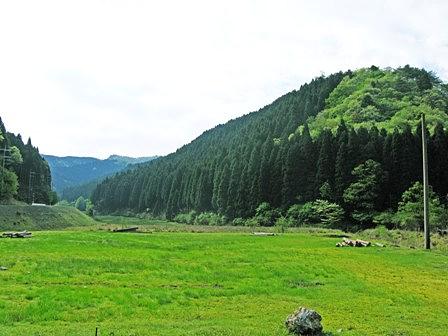 第４回目高島トレイル（行者山～駒ヶ岳）