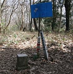 一等三角点の呉枯ノ峰と巨木の菅山寺